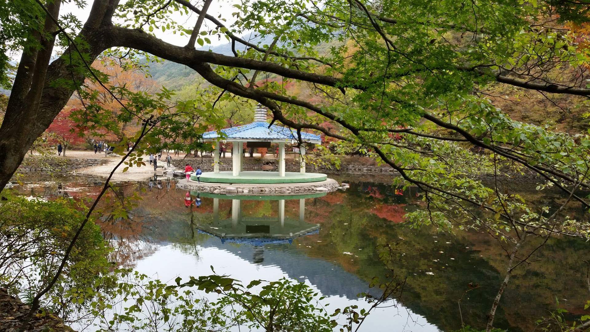 내장산 단풍과 연못에 비친 정자